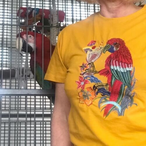 Parrot premium embroidery design